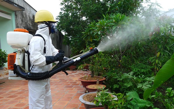 Top 25 công ty dịch vụ diệt côn trùng TPHCM uy tín nhất