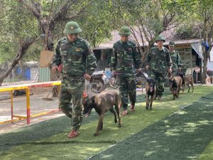 Trường huấn luyện chó nghiệp vụ Miền Nam