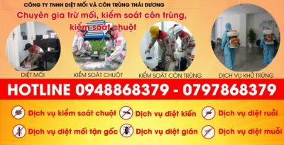 Công ty diệt muỗi tại tphcm Thái Dương | Nguồn: Công ty Thái Dương